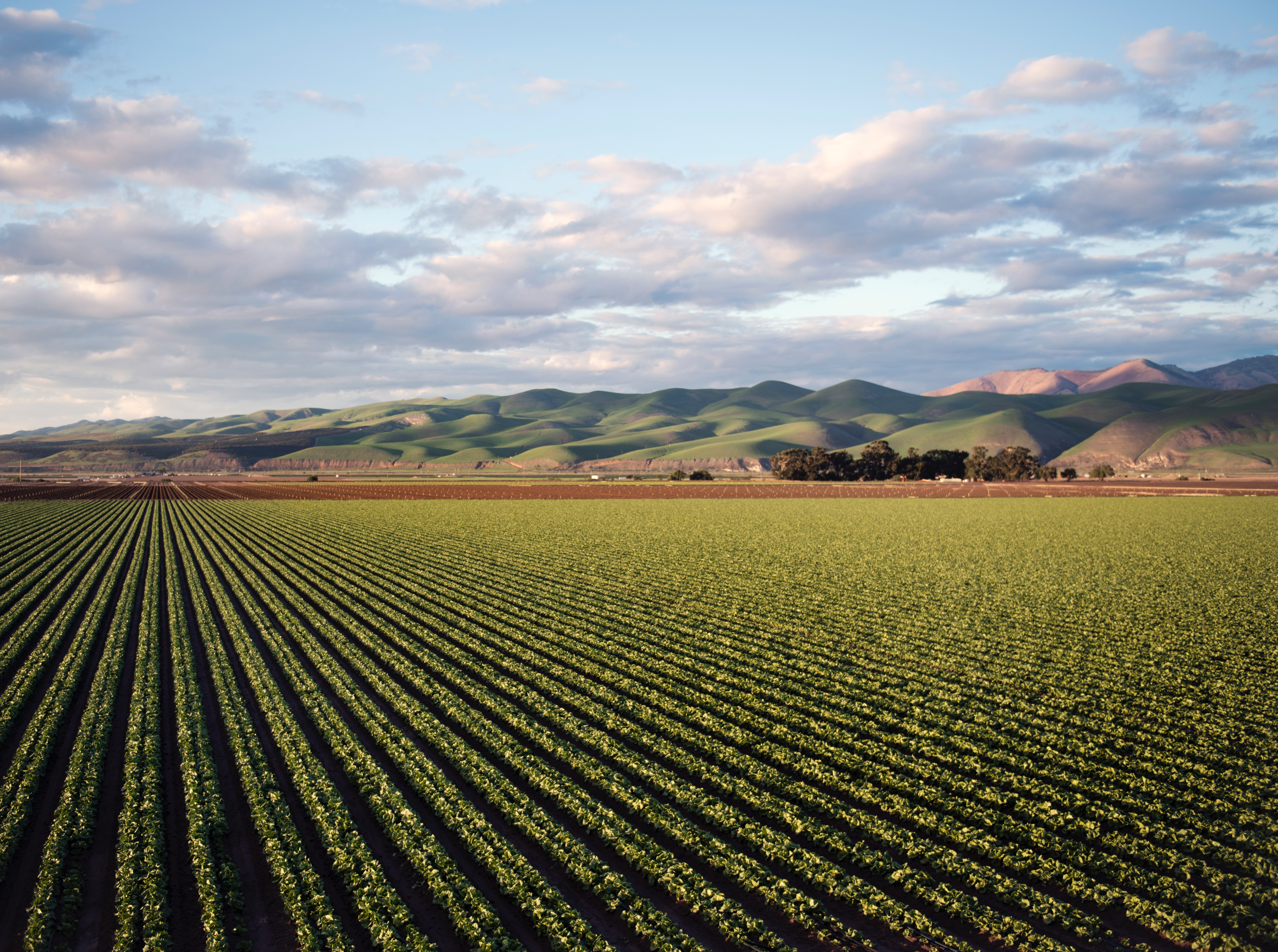 Agriculture Clouds Country 974314