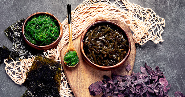 Alternative Food Proteins