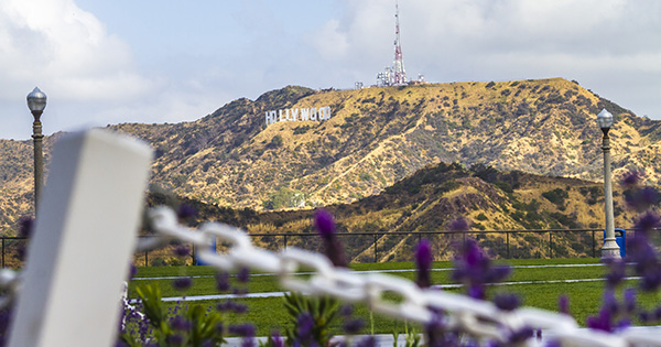 Impact of Paramount Acquisition of Warner Bros