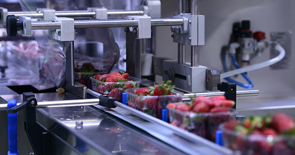 RD Incentives in Food and Beverage