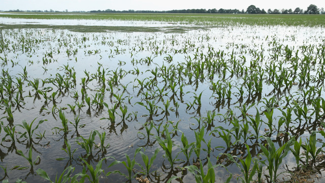 Flooded Farmers