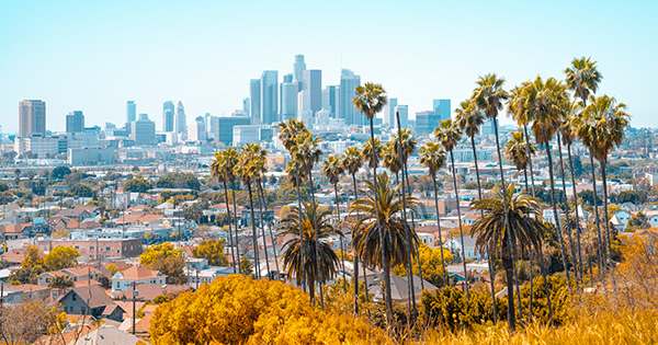 Los Angeles Business and Economic Outlook