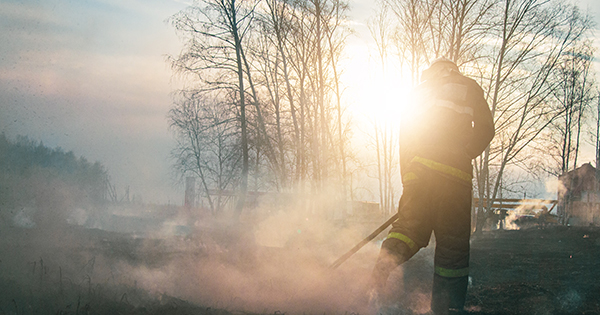 Tax and Financial Recovery after a Disaster