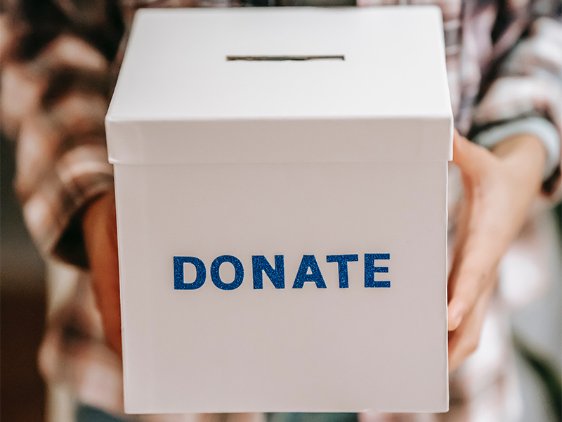 Pexels liza summer 6348119