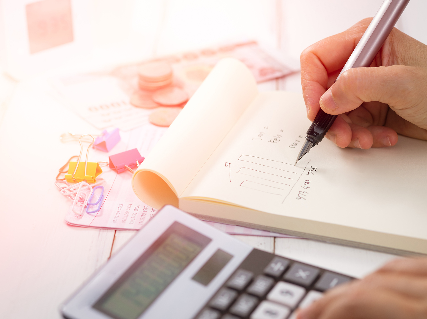 Nptaxweb