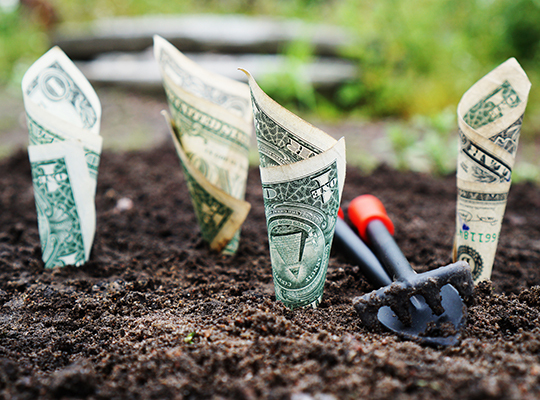 U s dollar bills pin down on the ground 164474
