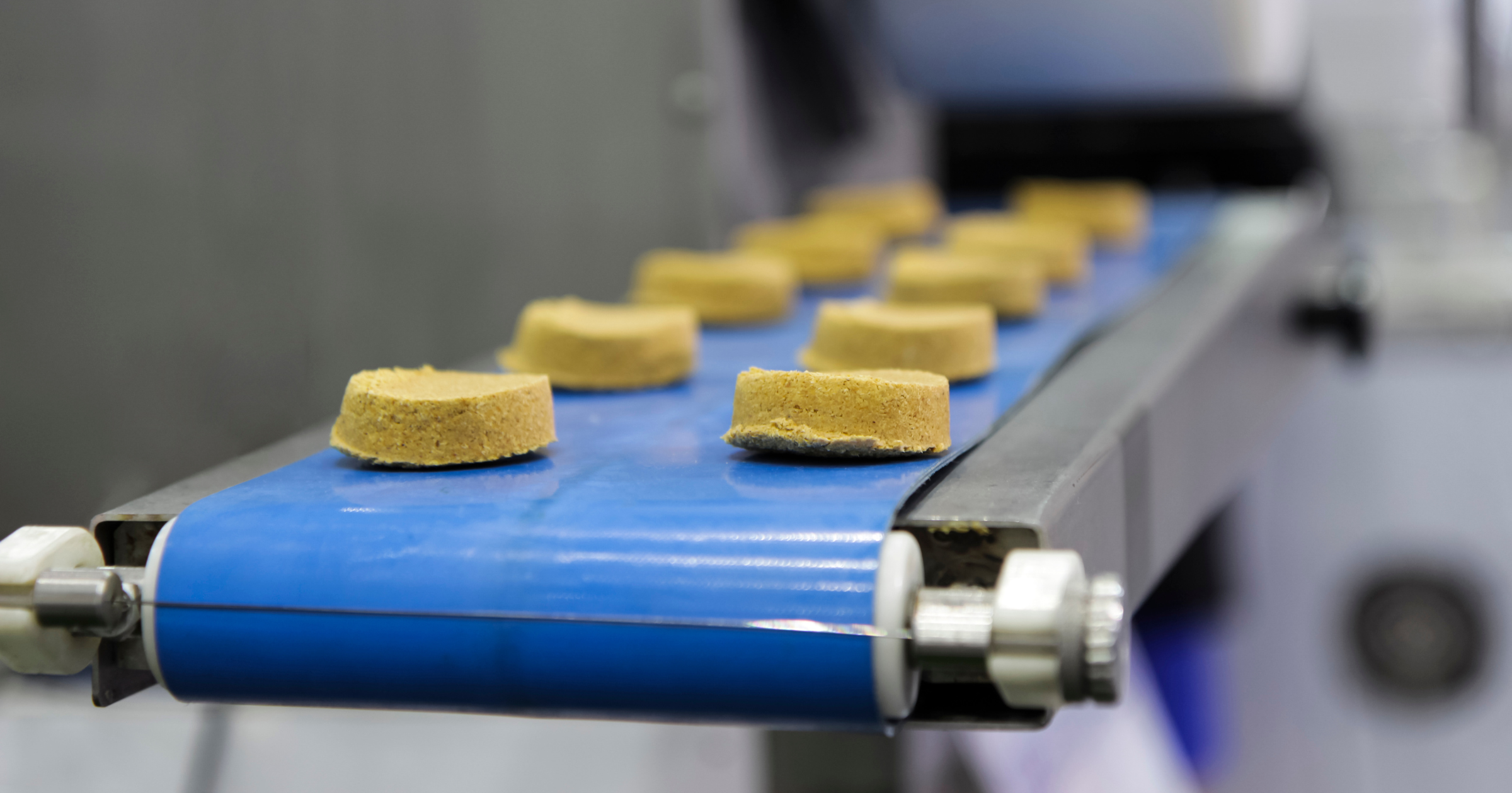 Fresca Food Case Study