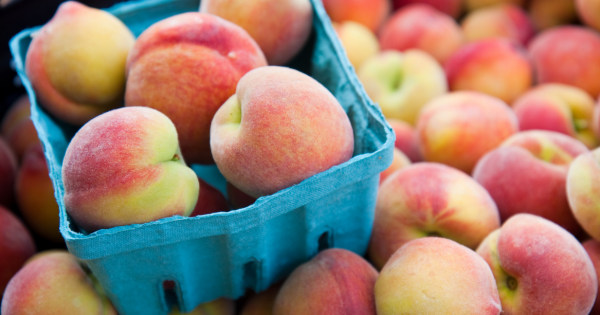 International Farming Corp Case Study