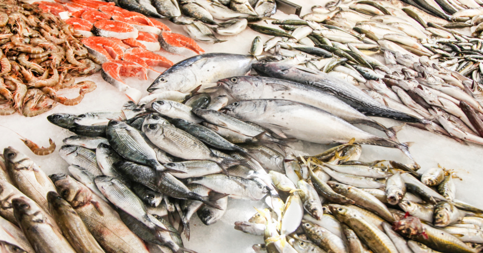 Santa Monica Seafood