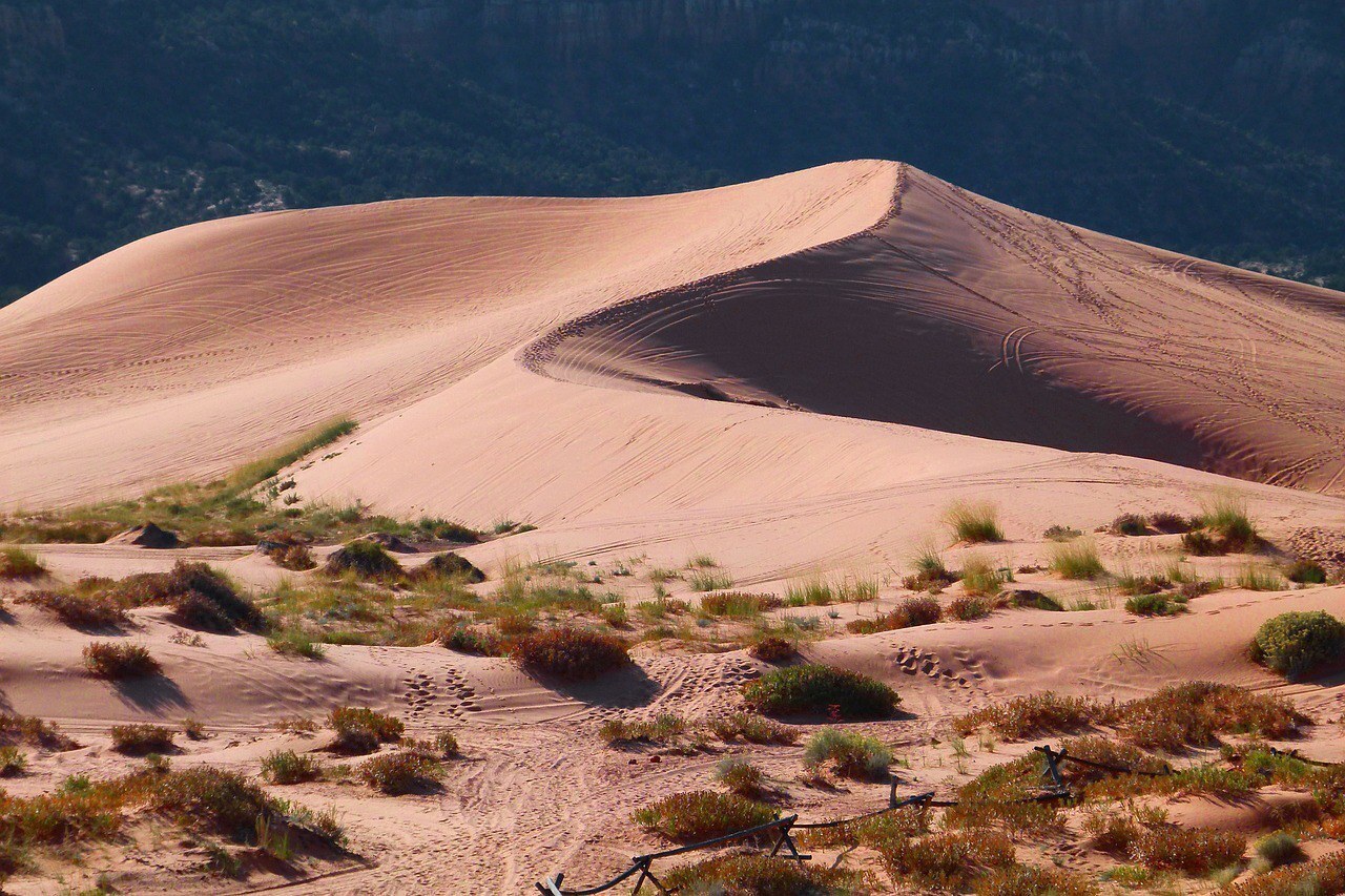 Desert