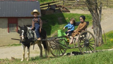 The health of the Amish