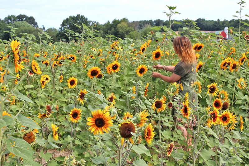 Visiting Sugarcreek | Ohio's Amish Country