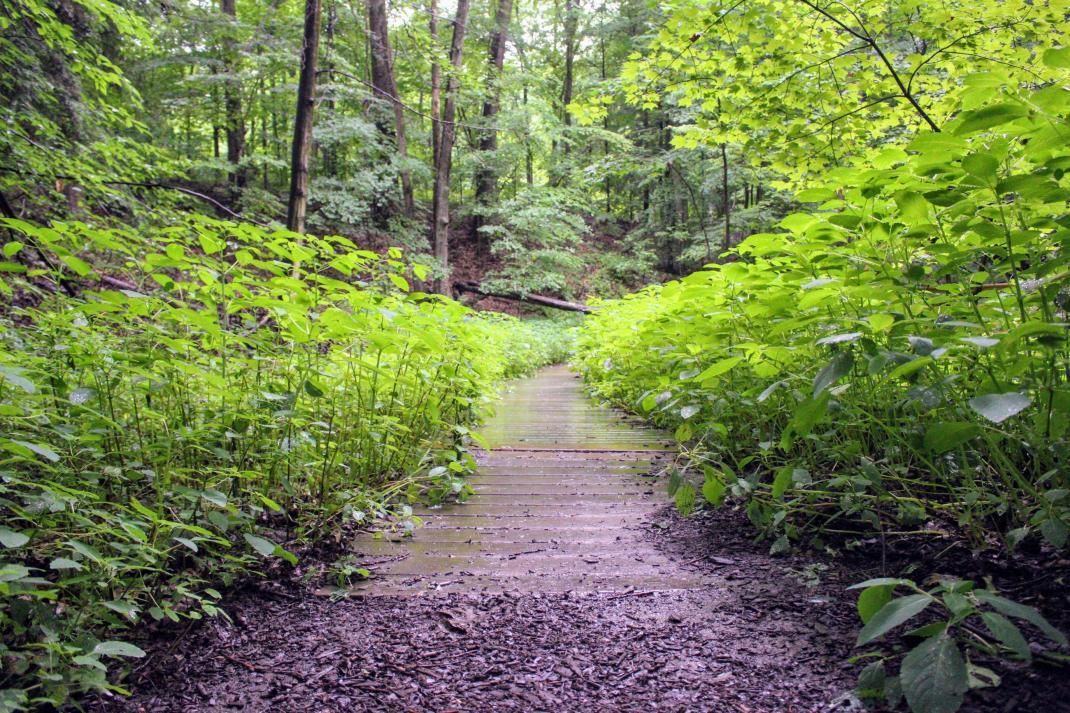 Wooster Memorial Park | Ohio's Amish Country