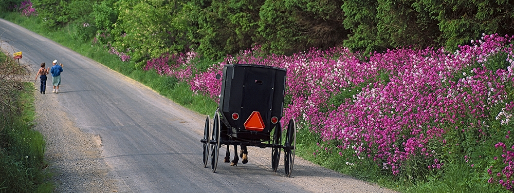 Garrettsville | Ohio's Amish Country