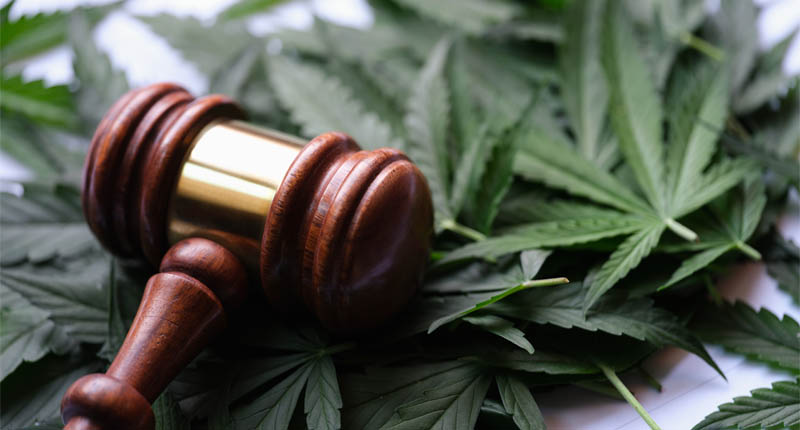 Congress Bans Delta 8 THC and THCA Under New Federal Hemp Rules Employer Drug Testing Guide 800x430