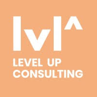 Level up consulting