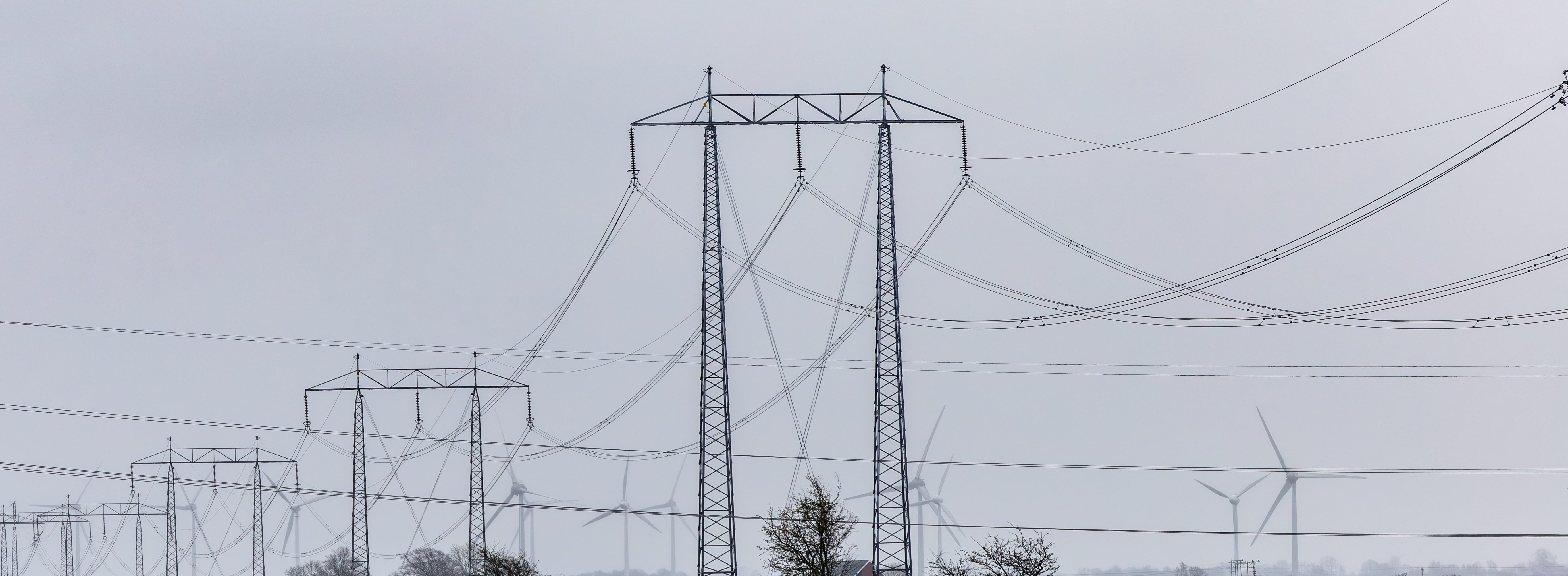 Shutterstock 2404864825