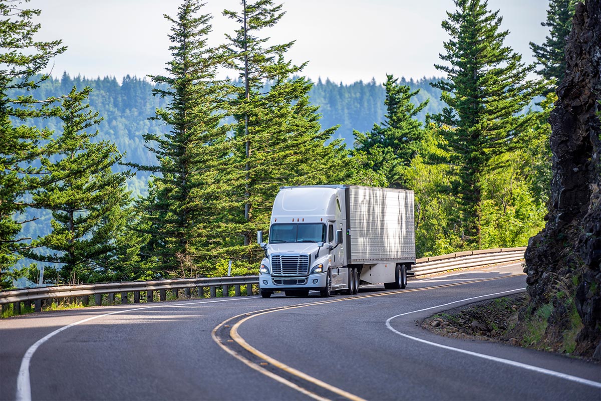 truck driving up a road by a forest