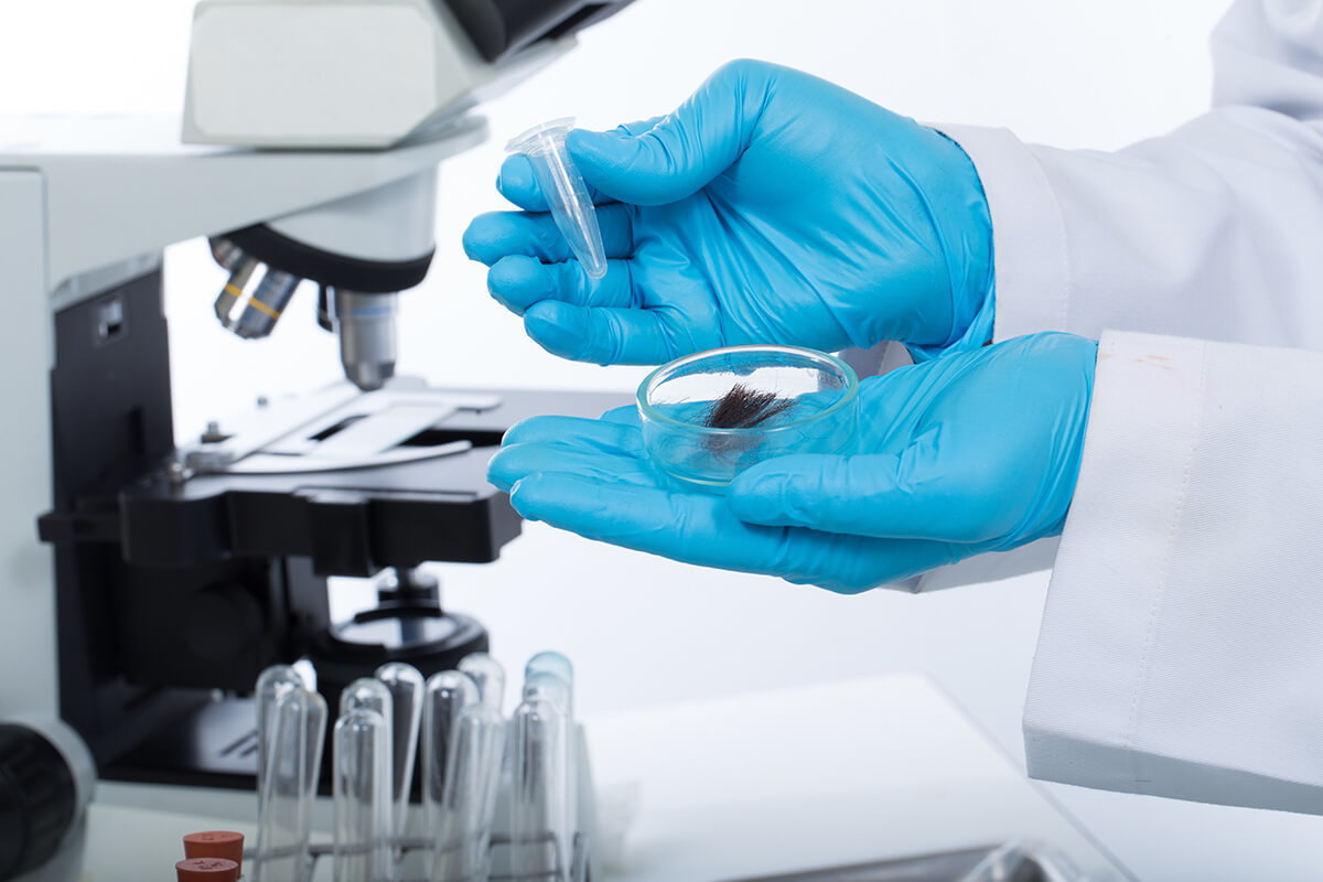Lab tech testing hair for drugs