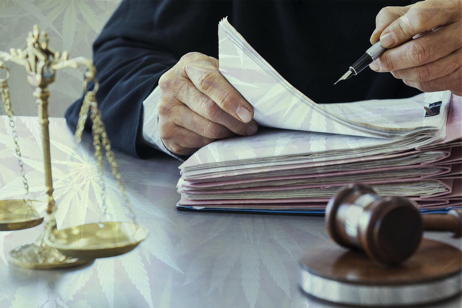 Judge-writing-with-files-and-gavel-marijuana-leaves