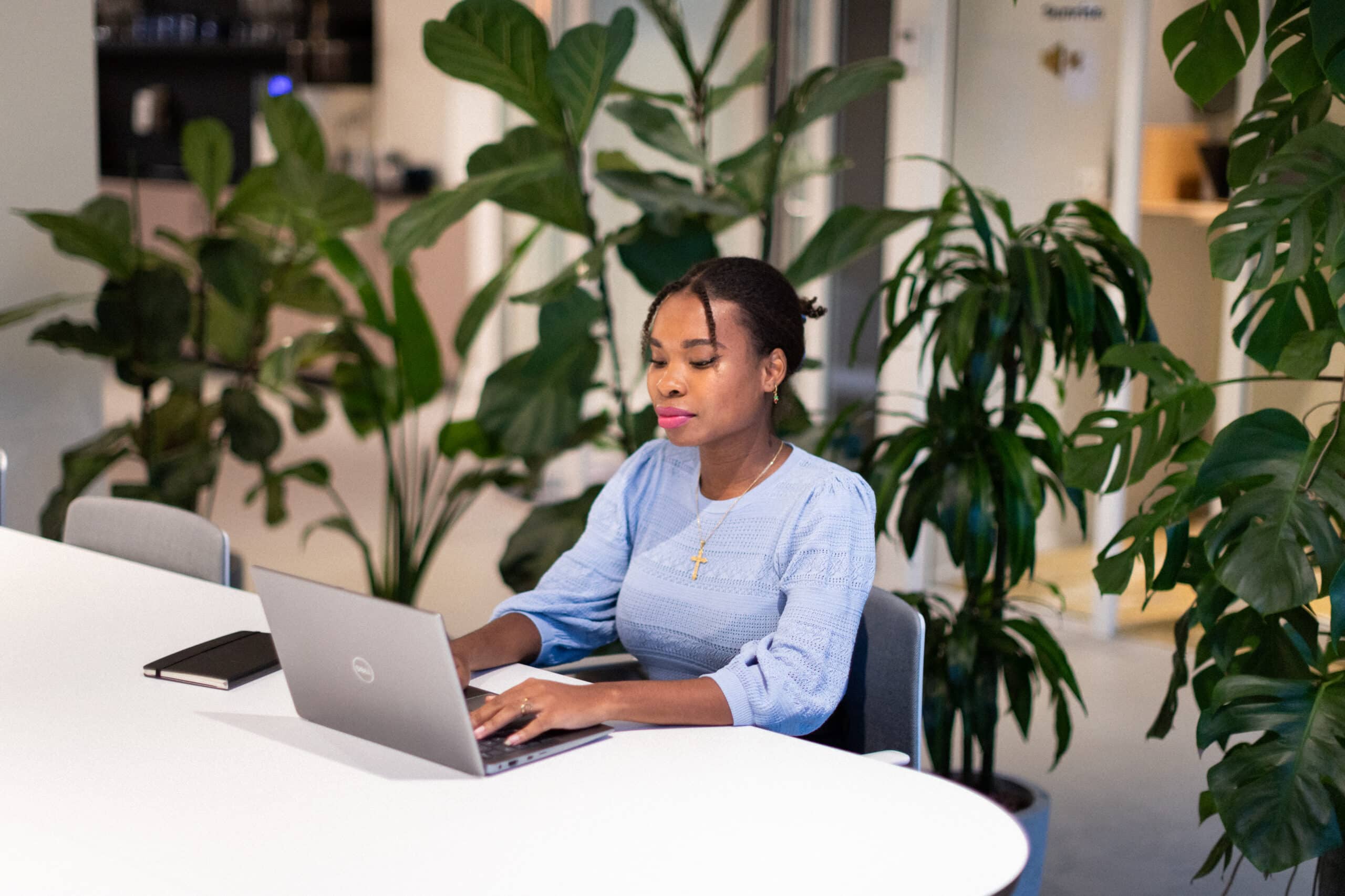 background check for employees