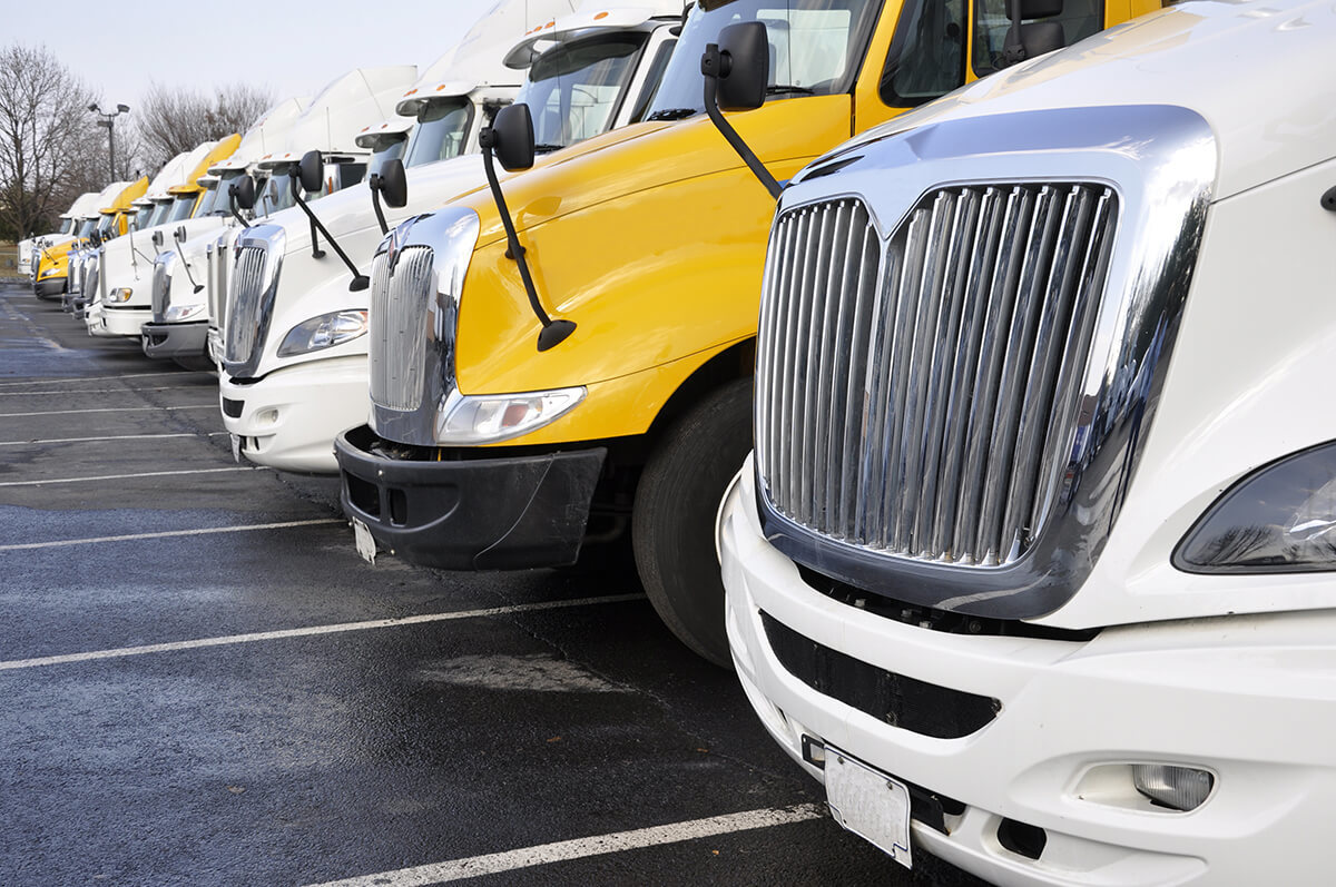 A line of parked transport trucks front ends