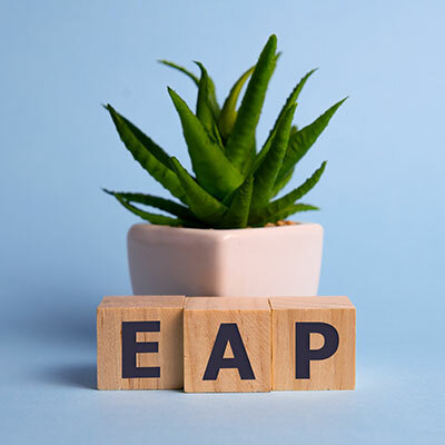 block.imageDescription