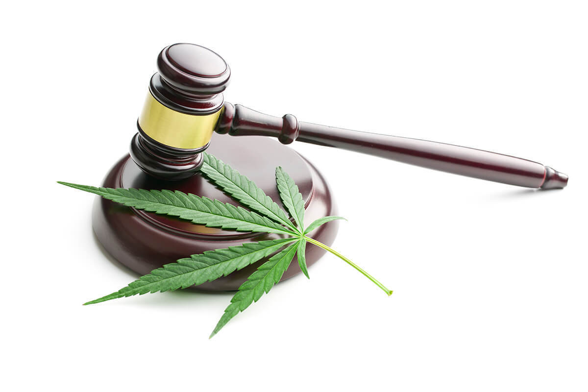 gavel with marijuana leaf