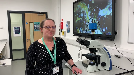 A science lecturer with a microscope in a science lab at the City Hub.