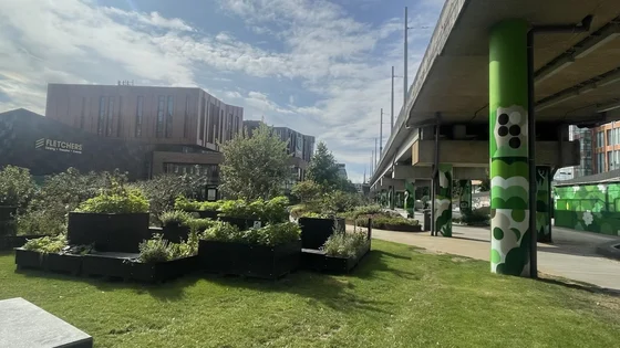 An external photo showing the planters and garden at the City Hub campus