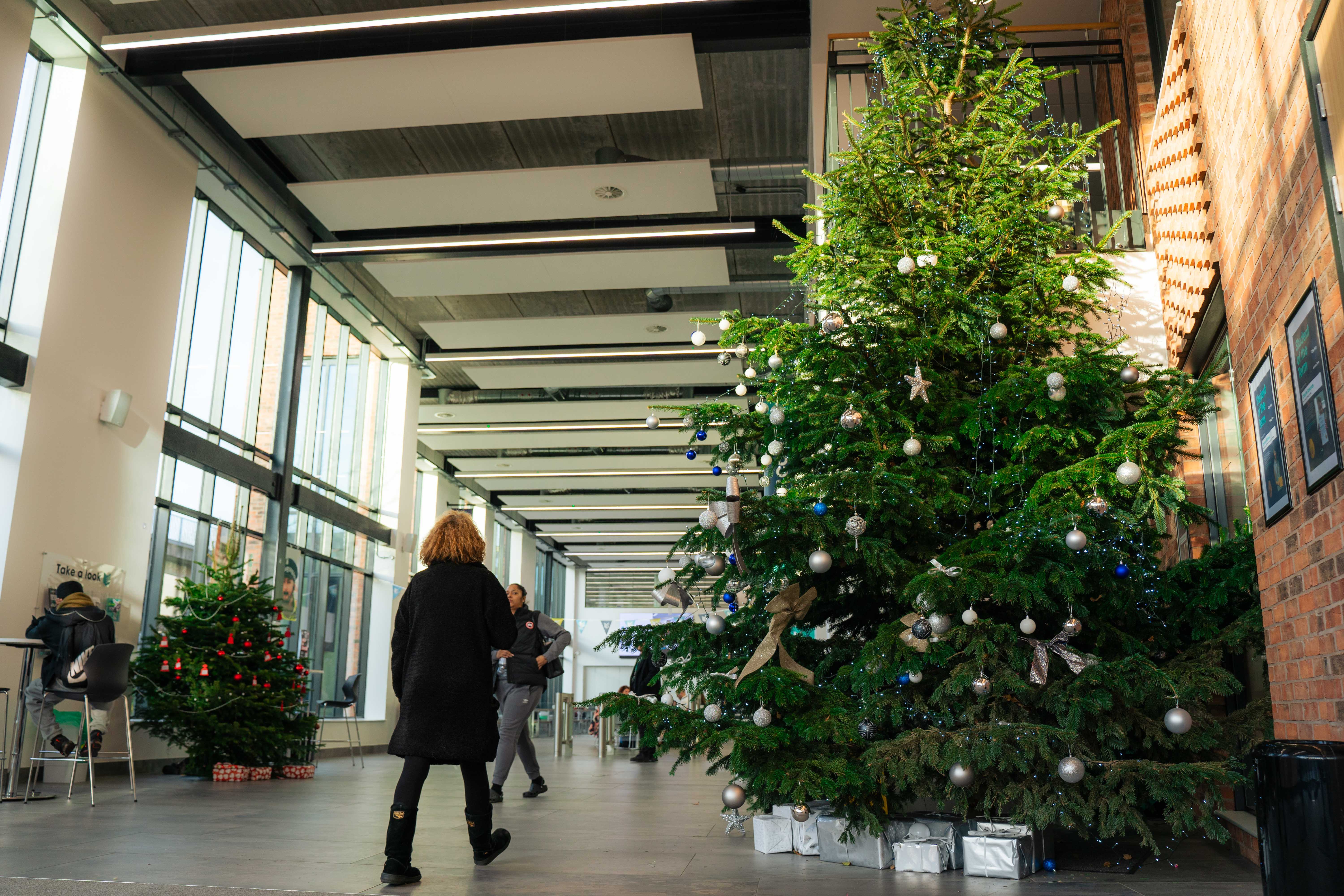 Big festive tree set up at our City Hub campus
