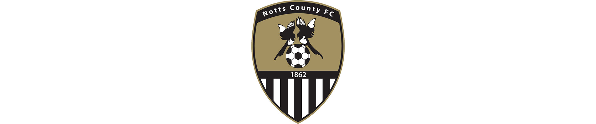 Sport L3 ncfc