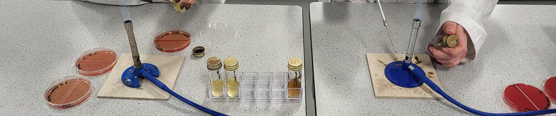 Two students using equipment in a science lab at the City Hub