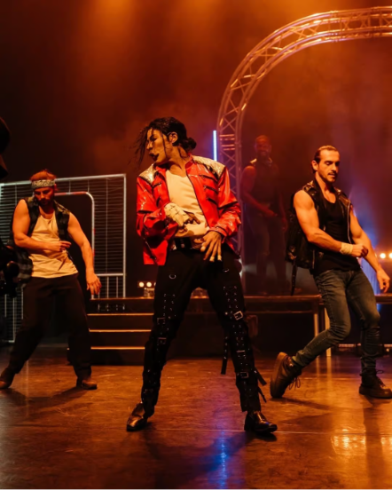 Michael Jackson experience image
