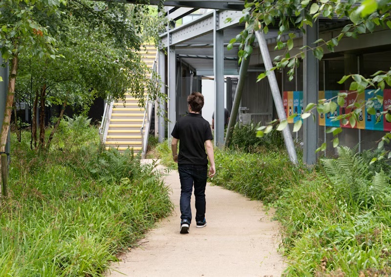 A student walking towards the Highfields campus on a pathway with green grass and trees