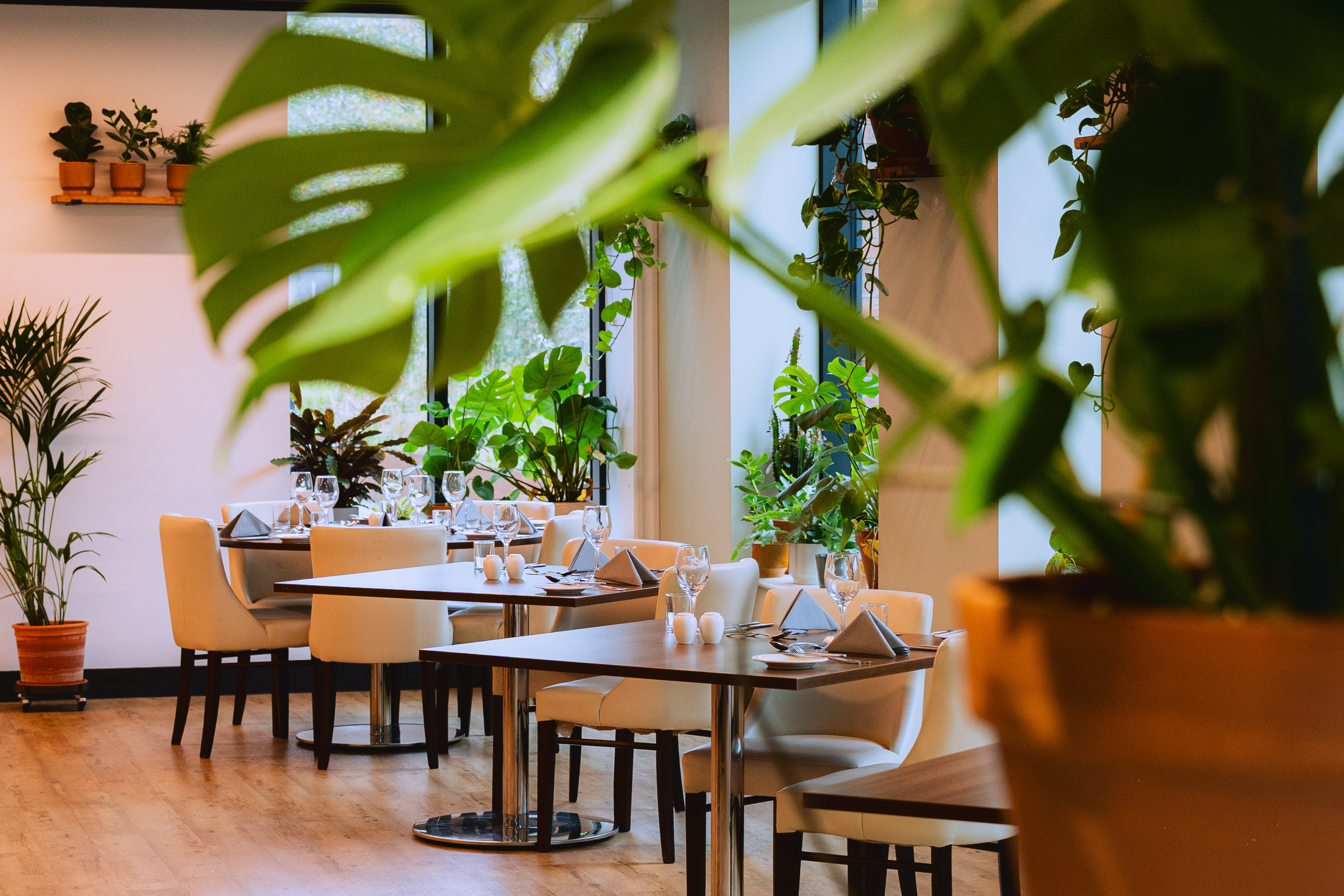3 tables decorated with plants surrounding