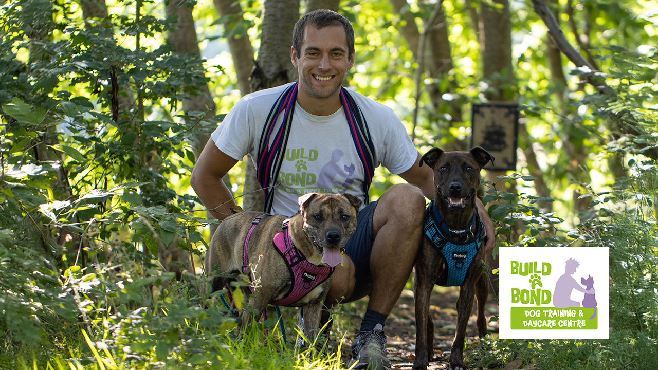 Photo of Build a Bond owner, Adrian Rybicki with his dogs.