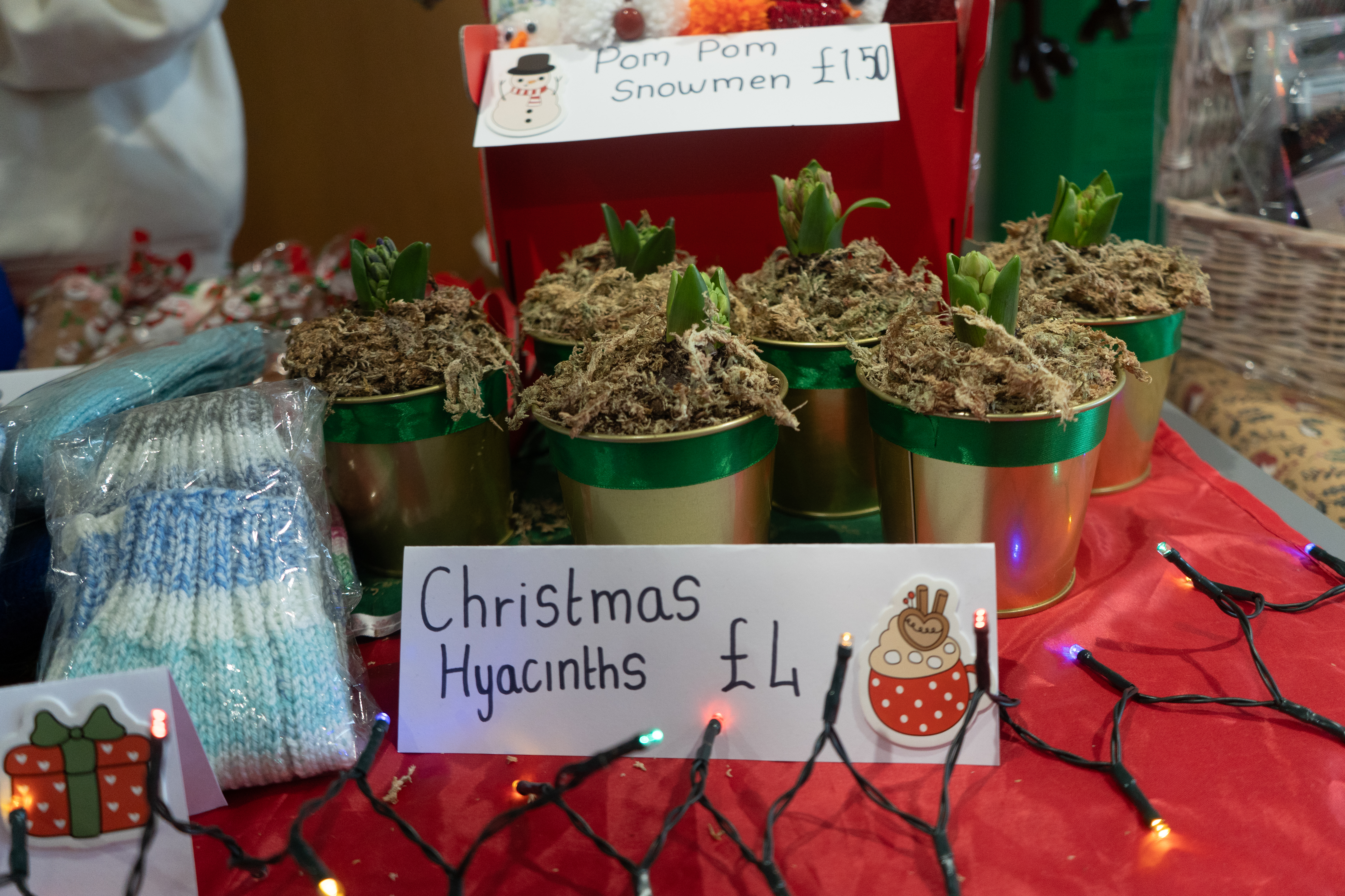 Christmas Hyacinths stall