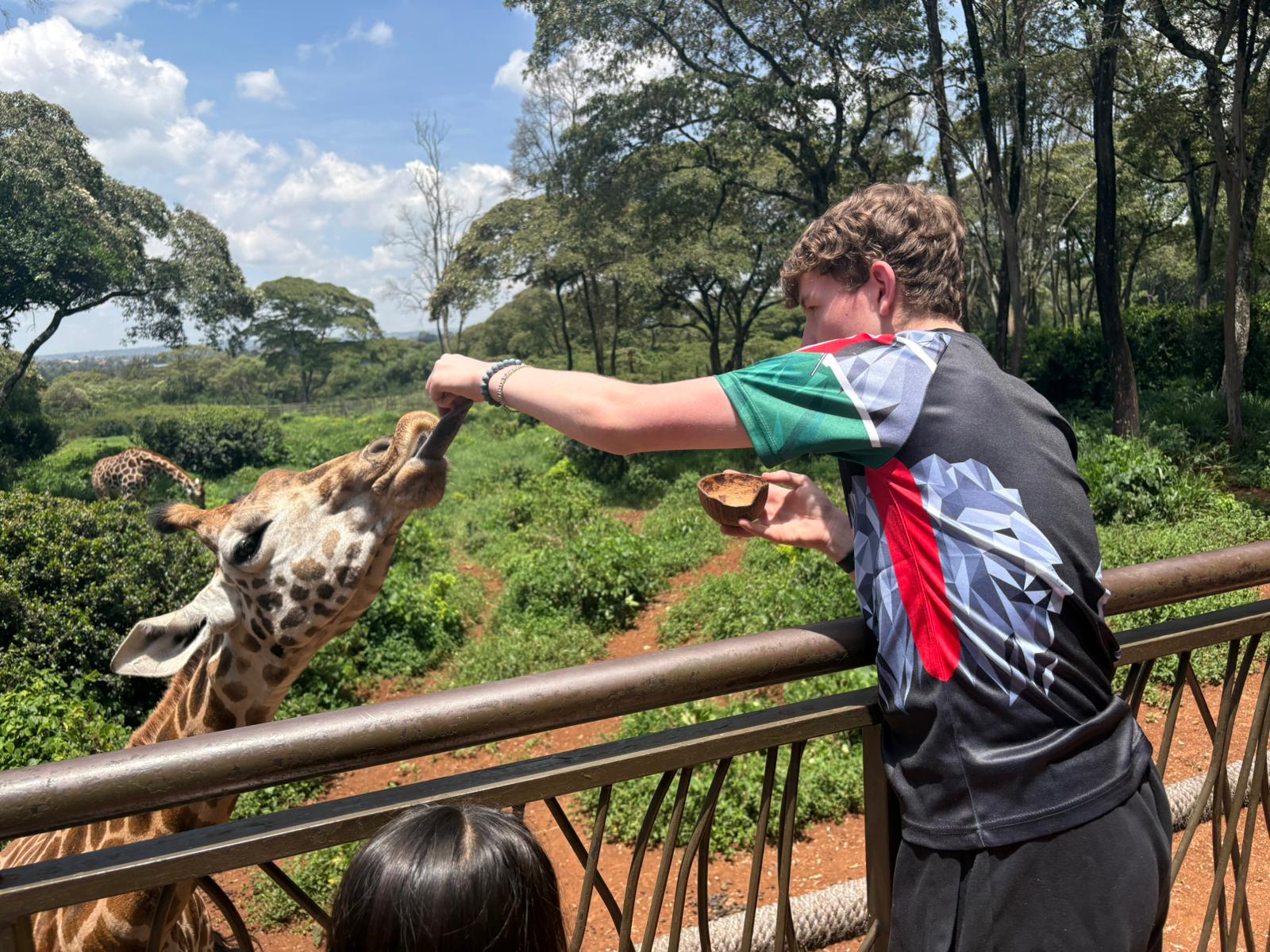 A photograph of a student with his arm stretched out and a giraffe eating from his hand.