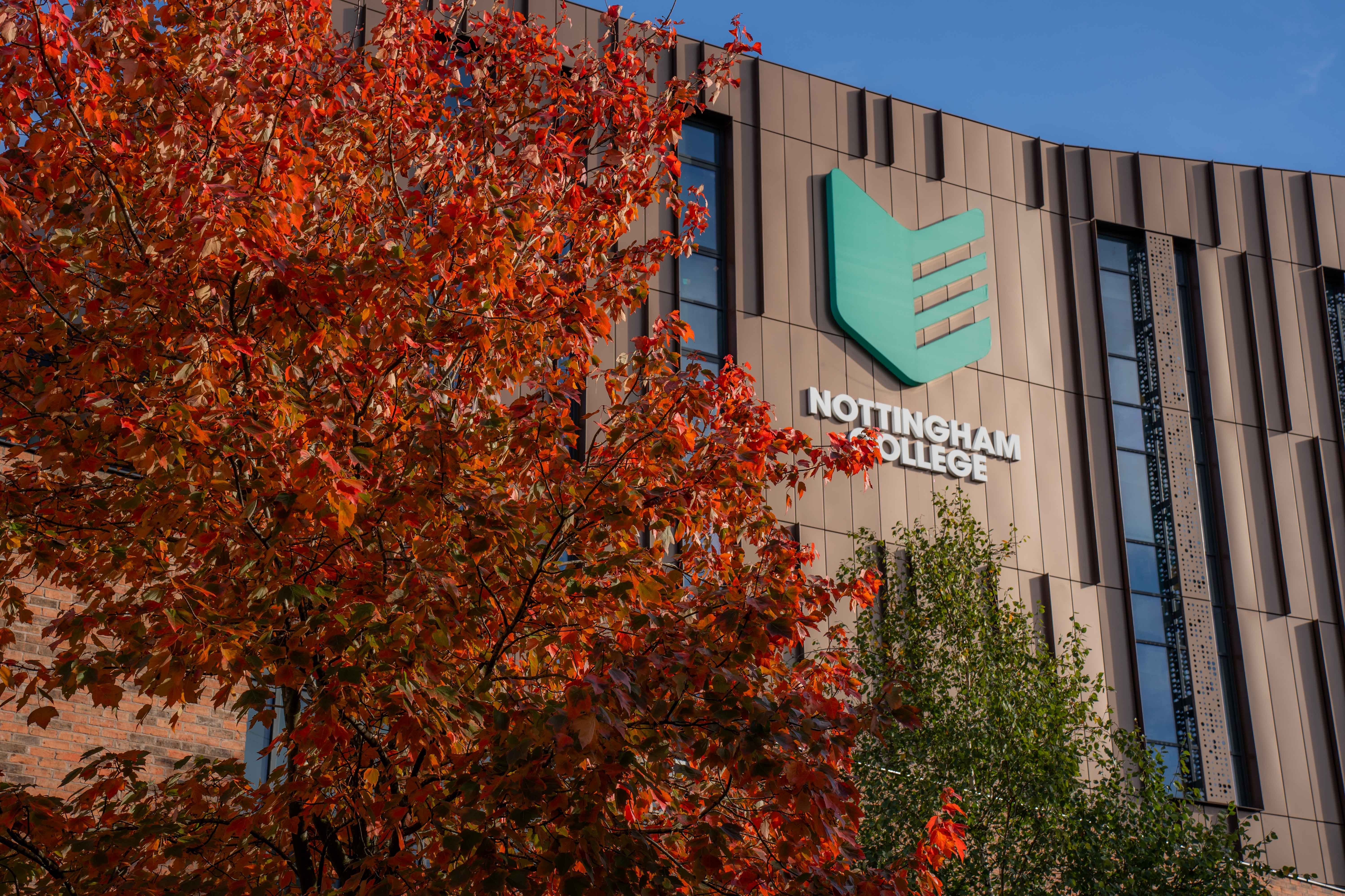 A picture of a tree in front of the City Hub campus