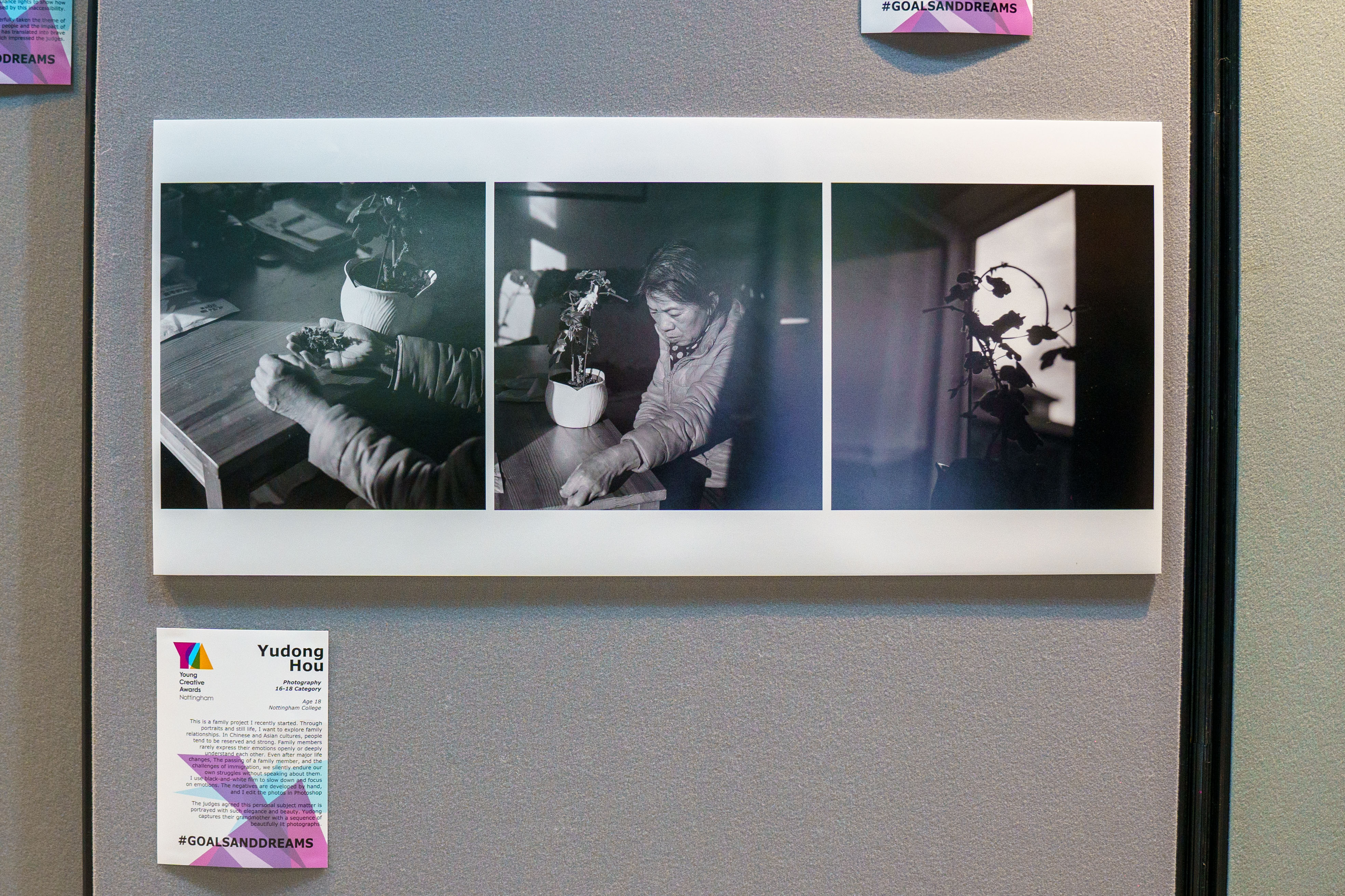 Yudong Hou - YCA winning Entry