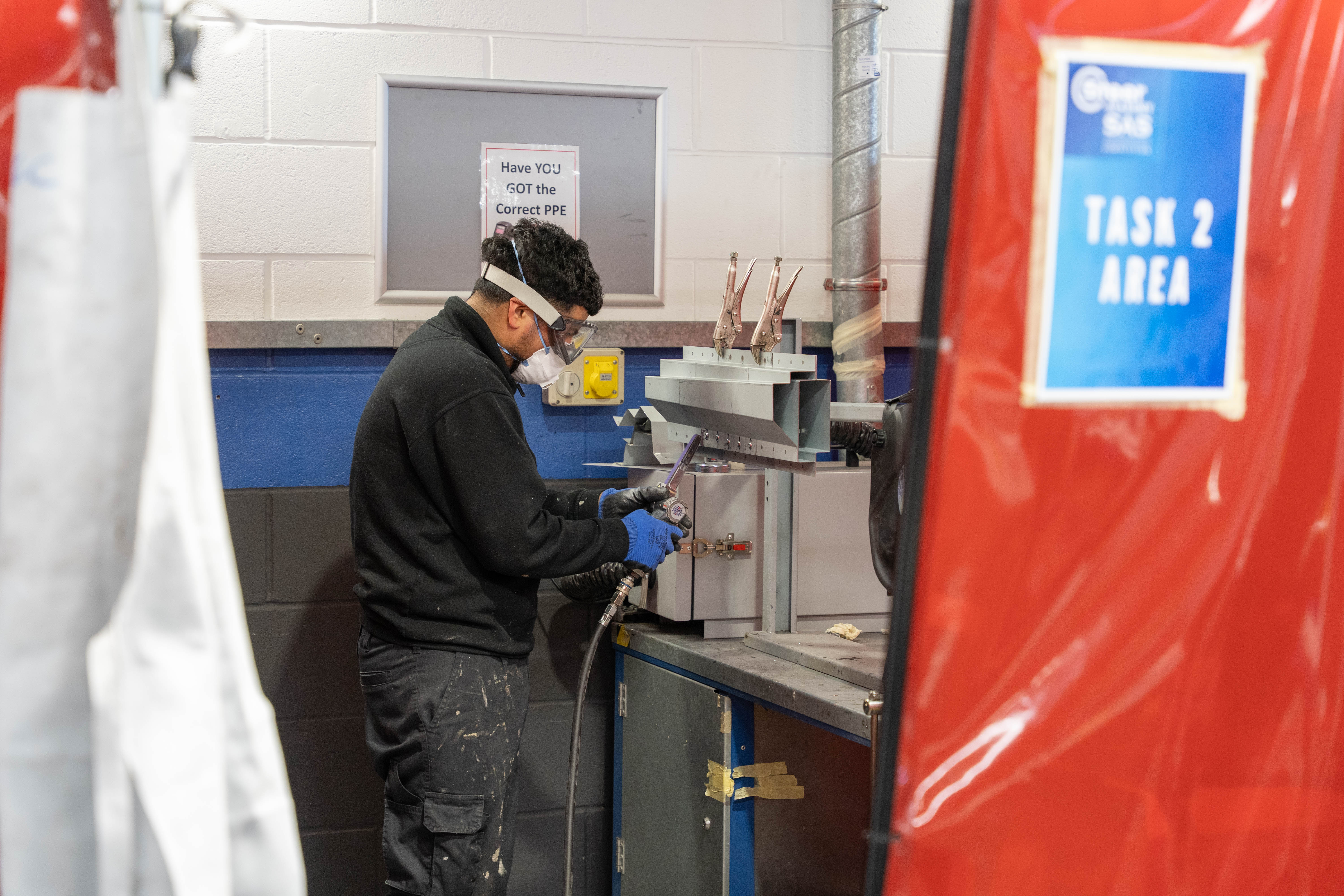 Steer Competition 11