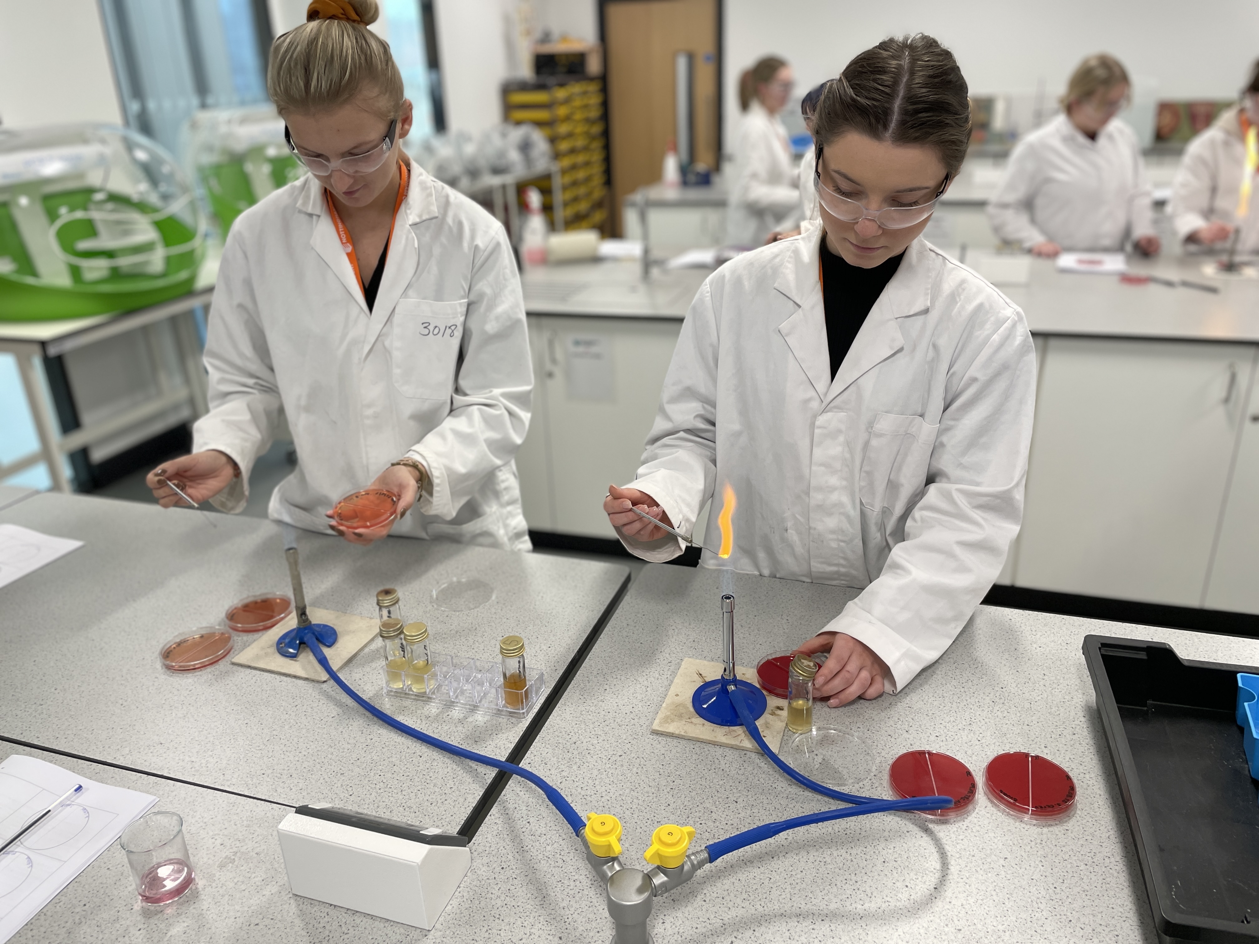 Students working in a science lab