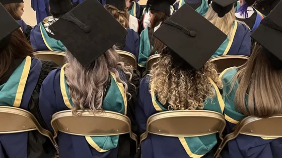 The back of several graduates sitting in the Albert Hall for a graduation ceremony