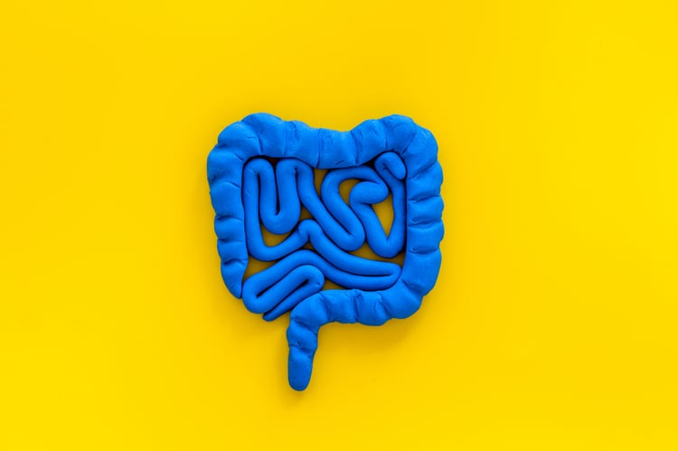 gut