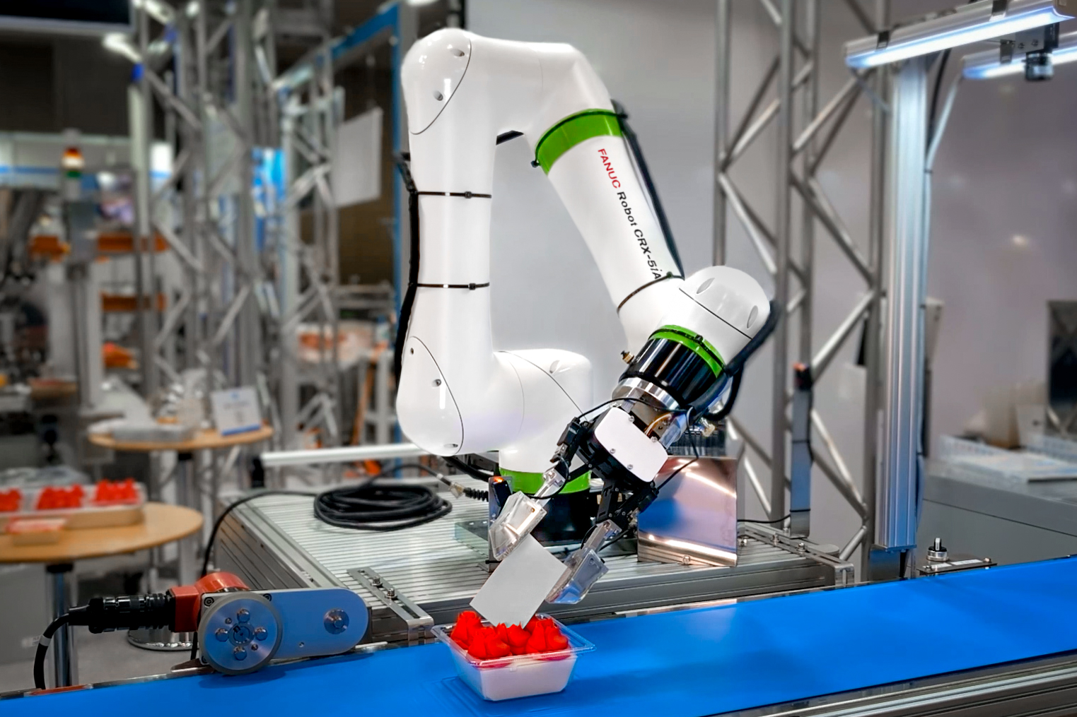 CRX 5i A Decorating Cake with Name Tag