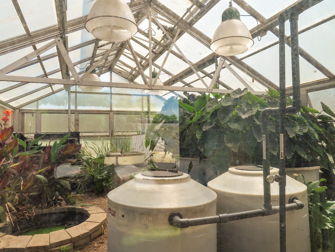 Environment & Sustainability