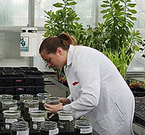 Research Experiences  for Teachers