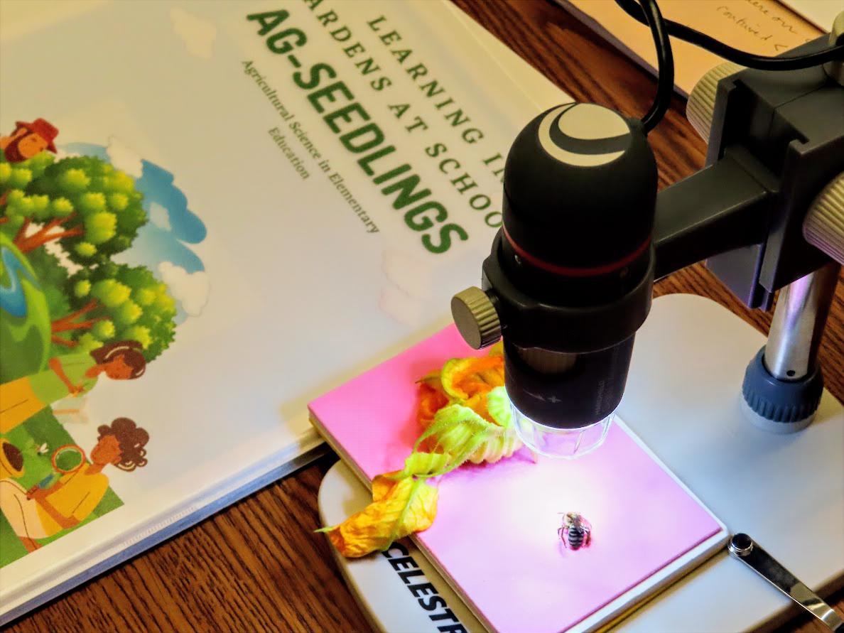 STEM Pioneers Ag Seedling