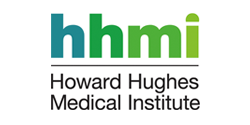 Hhmi Logo